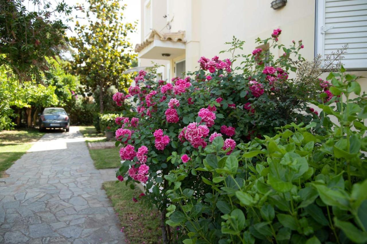 Palaiohora Avias Apartments Extérieur photo
